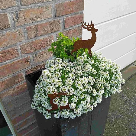 Au Sarseyis - D'hotes - Equestre Guest house