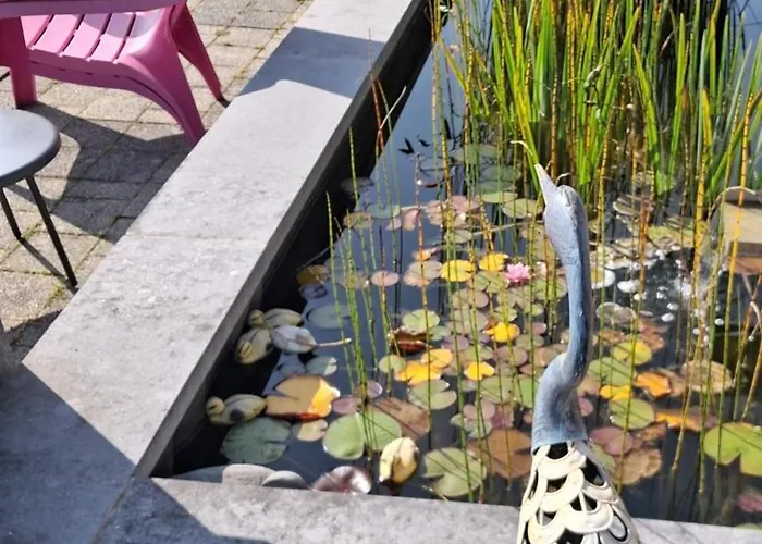 Gasthuis Au Sarseyis - D'hotes - Equestre